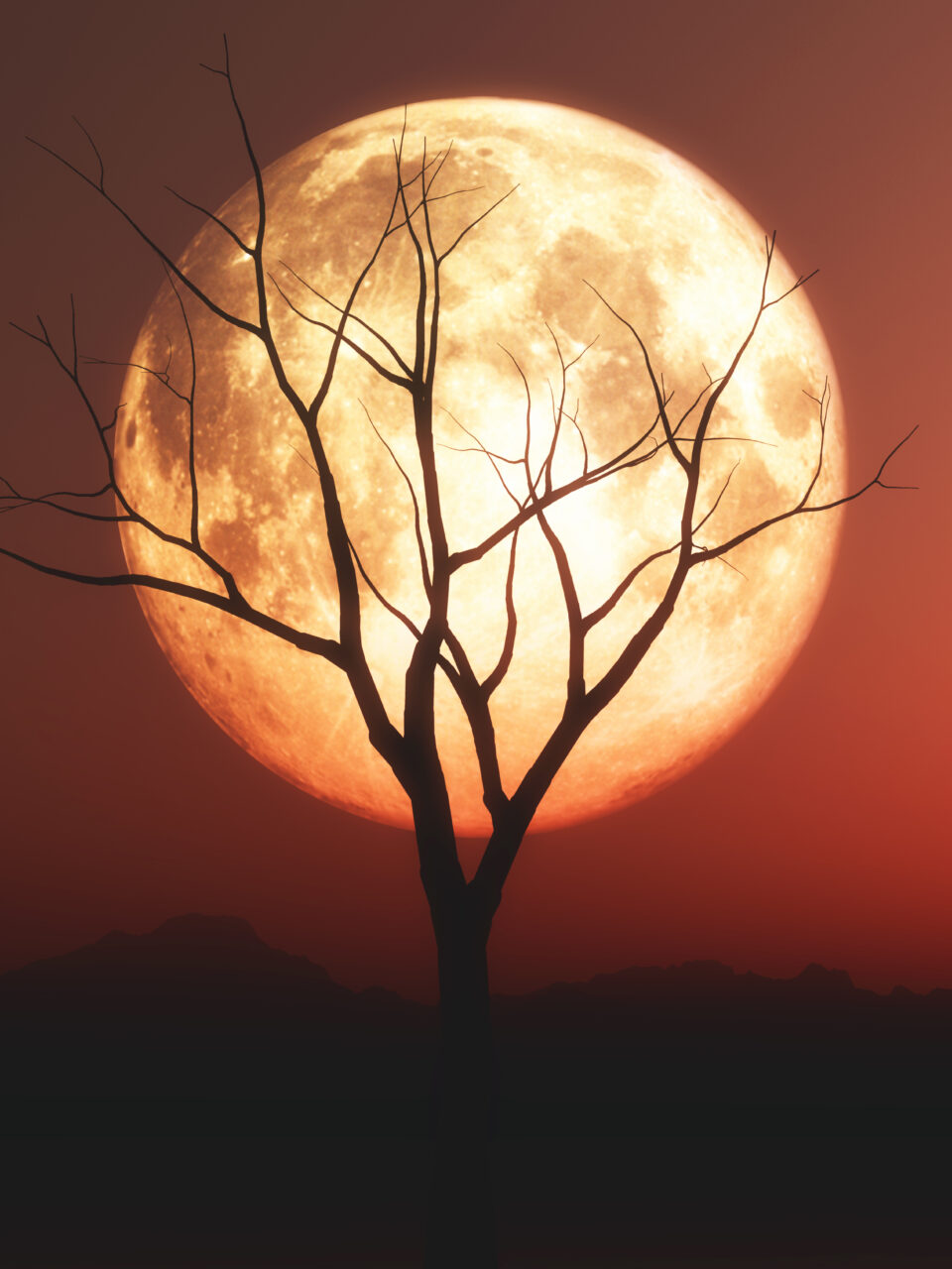 https://dmtreasure.com/wp-content/uploads/2024/01/landscape-with-old-tree-silhouette-against-red-moonlit-sky-960x1280.jpg